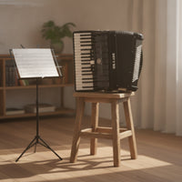 Piano Accordion 34-Key Accordion with Carrying Bag 72-Bass Instrument for Beginners, Adults, Training Lessons, Home Performance