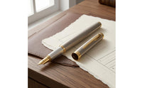 Two-Tone Steel Fountain Pen with Pocket Clip Silver and Gold Fountain Pen Classic Writing Instrument Refillable for Professionals, Calligraphers, Women, Office, Gift, Signature