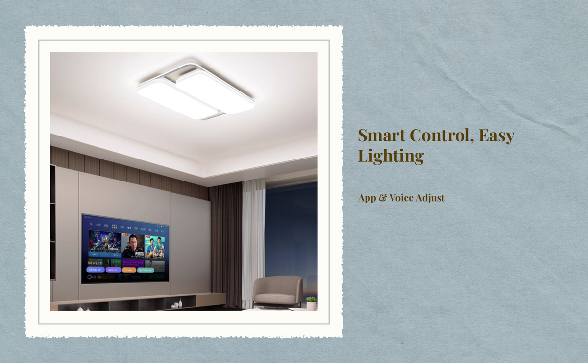 Dimmable LED ceiling light
