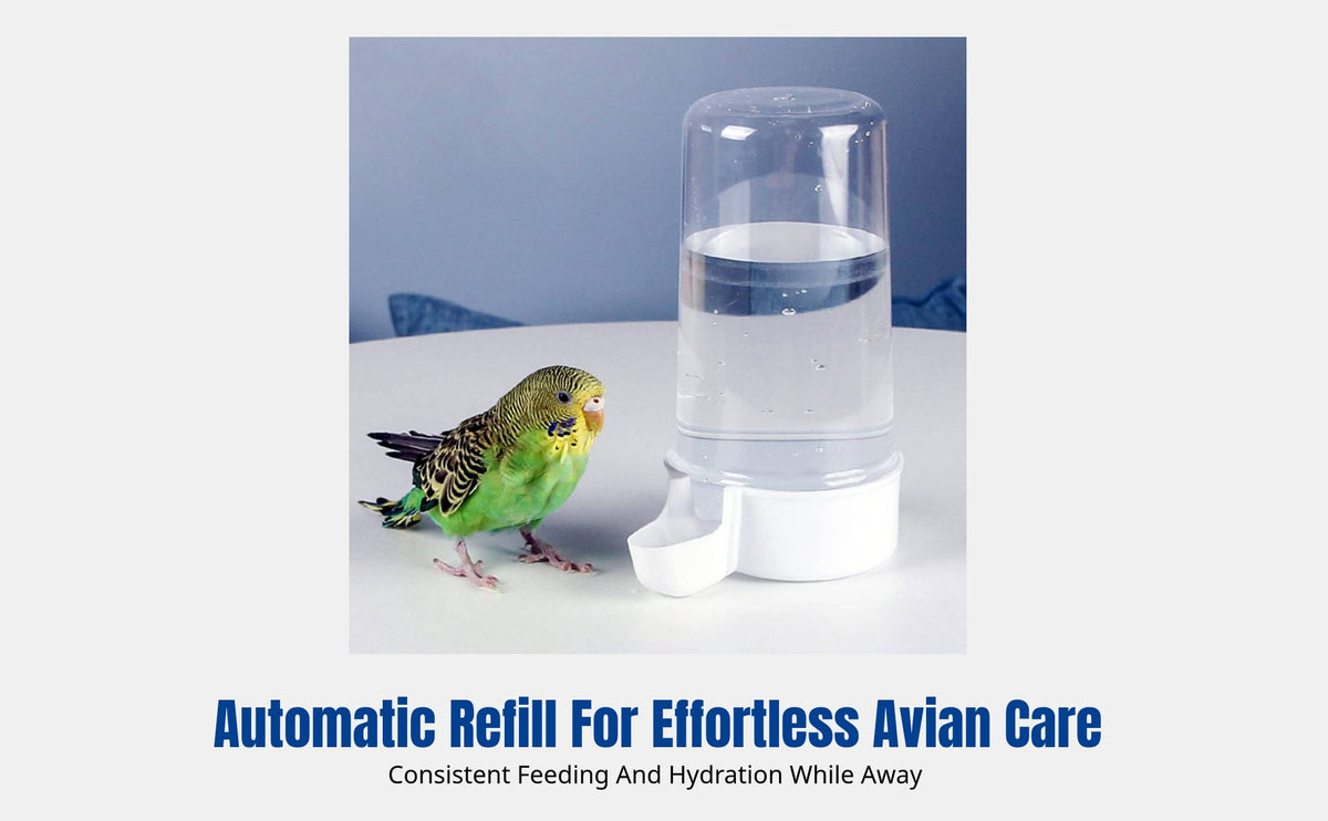 Automatic Avian Dispenser Easy to Clean Spill-Resistant and Water Station Large Capacity Transparent Design for Travelers