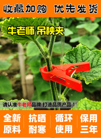 大棚黄瓜夹吊秧夹子吊蔓夹绑蔓夹吊蔓绳果园艺加厚抗老化爬藤蔬菜 2.0黑色加厚抗氧化500个