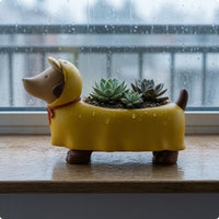 Painted Finish Resin Dachshund Pot Exposed Cavity Dachshund Planter Standing Legs Desktop Planter Small Plants for Desk
