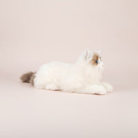 Cat Stuffed Toy Realistic Stuffed Cat Adorable for Bed