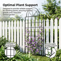 2 Pack Extra Large Iron Garden Trellis for Climbing Plants, 171-200cm, 70cm Wide Matte Black Plant Support, Country Style