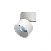 Cylindrical Head Surface Mount Lamp Rotatable Adjustable Ceiling Lamp Foldable Surface Mounted Light Aluminum