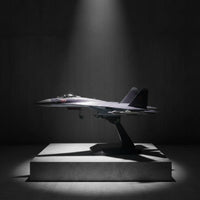 1:100 Su-35 Fighter Jet Model Pre-Assembled Diecast Alloy Airplane Model Highly Detailed for Enthusiasts, Desk