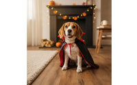 Dog Cape with Collar Black Canine Cape Glossy for Dogs, Pets