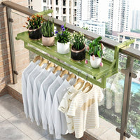 Iron Drying Rack and Indoor Plant Stand for Living Room, 2-Tier Combination Type Indoor Plant Flower Stand, Laundry Rack with Storage Shelf