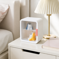 storage box