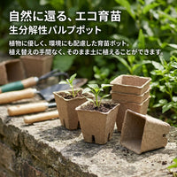 Seedling pots 6cm pulp paper 90-piece set for direct planting biodegradable seedling pots for home gardening