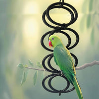 Reptile Climbing Toy Circular Hoops Snake Climbing Ring Hanging Hoop Toy Linked Rings Ring Ladder Metal Clips for Small Animals