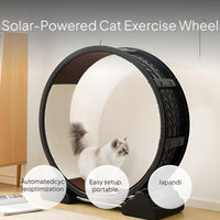 Cat Exercise Wheel, Quiet Treadmill, Pet Fitness Toy