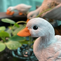 Vivid Details Miniature Duck Figurine Realistic Design Micro Landscape Duck Outdoor Safe for Pond
