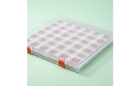 Bead Organizer Tray Box Clear Bead Storage Box Lightweight with Lid Container
