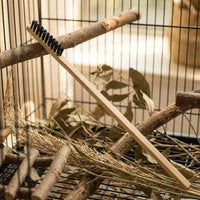 Bird Cage Cleaner and Parrot Cage Cleaning Tool with Cleaning Fork, Mixed Bristles Cage Cleaning Brush, Stainless Steel Handle for Pet Cages
