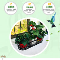 阳台花架挂式铁艺花架椭圆形窗户花盆架悬挂窗台多肉栏杆花盆挂架