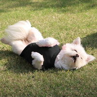 Pet T-Shirt and Pet Vest in Solid Pattern, Synthetic Blend Pet T-Shirt and Pet Vest, Casual Style All Seasons Breathable Pet Apparel Wear
