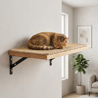 Cat Shelves Climbing Wall Activity Center with Enclosed Shelter, 5-Level Wood Set, Wall Mounted Scratching Posts for Large Indoor Cats and Kittens