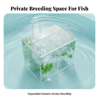 External Aquatic Breeder Box Removable Divider Aquatic Habitat Separation Box Fry Hatchery Unit High-Clearness Acrylic