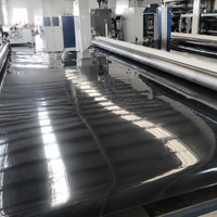 HDPE Geomembrane Sheet, Waterproof Liner for Ponds, Landfills, Disposal Sites, Lakes, Reservoirs, Black