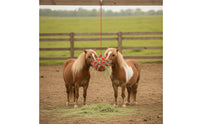 Horse Treat Ball Open-Lattice Feeder Toy with Geometric Cage Boredom Breaker Hay Ball for Horses, Ponies, Stall, Paddock