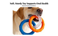Chew-Resistant Dog Chew Loop Boredom Relief Long-Lasting Dog Loop Teeth Cleaning for Aggressive Chewers, Young Dogs, Training, Playtime