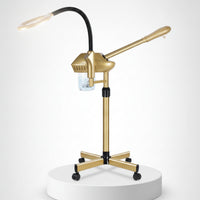 Facial Steamer with Magnifying Lamp Professional Standing Facial Steamer Beauty Equipment 2 in 1 Adjustable Height