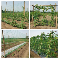 Plant Climbing Net for Beans, Loofah, Bitter Gourd, Cucumber, Passion Fruit, and Other Vine Plants, Agricultural Trellis Netting