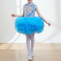 School Choir Uniform Soft Tulle Skirt Girls' Glitter Ballet Skirt Dress Boys' Glitter Performance Outfit Bright Hues