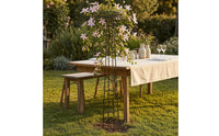 Tall Fungus Top Trellis Cross Braces Metal Climbing Trellis Tapered Frame Garden Structure Decorative Design for Courtyard