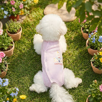 Small Dog Recovery Suit Four-Legged Clothing, Thin Breathable Cat Post Surgery Pet Clothing with Fasteners