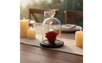 Preserved Flower Display Jar Great Gift Notion Glass Dome Display Stand Cloche Dome Jar DIY Easy to Use Desktop Debris Cover