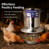 Automatic Cat Feeder for Two Cats, Timed Dry Food Automatic Cat Feeder with Stainless Steel Bowl, Dark Gray Automatic Pet Feeder