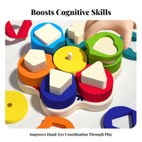 Educational Color Shape Matching Toy Fine Dexterity Skills Development Geometric Block Sorting Toy Hand-Eye Coordination