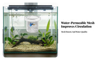 Guppy Breeder Box Double-Tier-Tier Design Aquatic Habitat Separation Box Buoyant Aquatic Pet Hatchery Suction Holder Mount