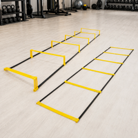 agility ladder