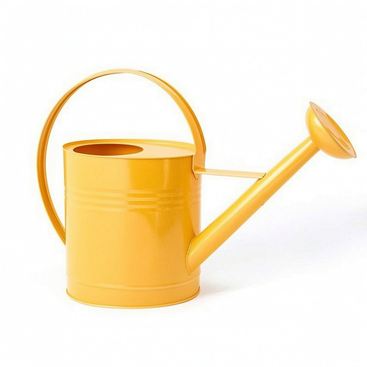 Metal Watering Can with Sprinkler Head Arched Handle Watering Can with Long Spout Stylish Vessel Modern for Gardeners