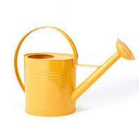 Metal Watering Can with Sprinkler Head Arched Handle Watering Can with Long Spout Stylish Vessel Modern for Gardeners