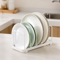 Metal Dish Drying Rack, Sink Organizer with Cutlery Holder, Matte Drip Tray for Kitchen Countertop, Rust-Resistant