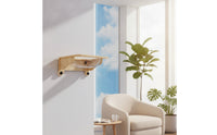 Wall-Mounted Cat Bed with Transparent Capsule Space-Saving Furniture for Cats, Indoor, Apartment