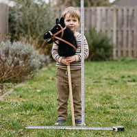 Musical Horse Head Stick Toy for Kids, Role Play Prop with Detachable Wheel and Sound Effects