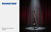 Erhu, Professional Rosewood Chinese String Instrument, Hexagonal Resonator, For Beginners and Experienced, Complete Accessories
