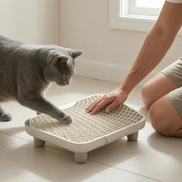 Raised Edges Litter Control Mat Easy to Clean Cat Litter Trapping Mat Long-Lasting Pet Supplies Chemical-Free Safe