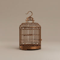 Round Bird Cage Indoor Birdcage Practical for Home