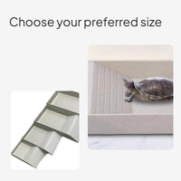Turtle Habitat with Basking Deck, Multi-Functional Design