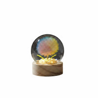 Gift Idea Floral Crystal Ball Lamp Decorative Accent Floral Dome Lamp Delicate Design Glass Dome Night Light LED Lighting for Desktop, Bedside