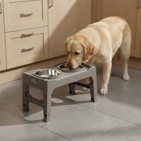 Stainless Steel Double Pet Feeder Anti-Tip Elevated Paired Pet Bowl Large Capacity Elevated