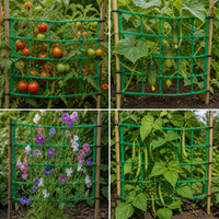 Garden Trellis Netting for Climbing Plants, Fruits, and Vegetables