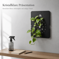 Acrylic Wall-Mounted Plant Mounting Board for Staghorn Ferns Orchids