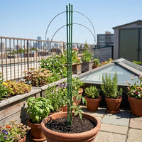 Indoor Plants and Outdoor Plants Circular Tomato Cage, Stackable Plant Supports for Indoor Plants, Adjustable Plant Sticks Support Stakes